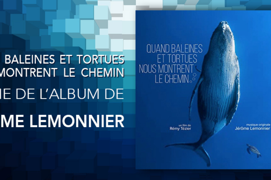 Quand baleines et tortues nous montrent le chemin, une belle composition de Jérôme Lemonnier
