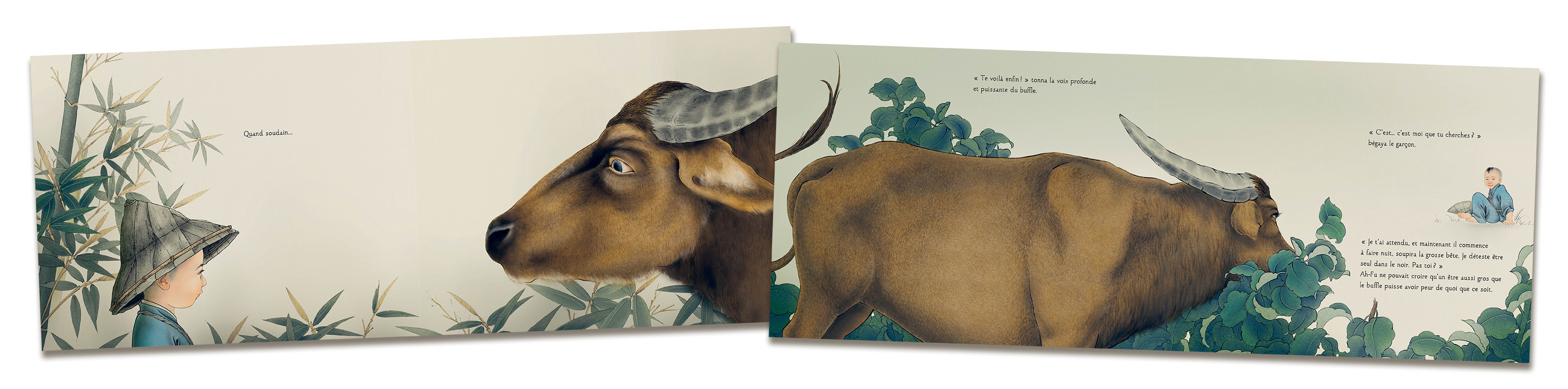 Montage Assez Grand 02.jpg (584 KB)