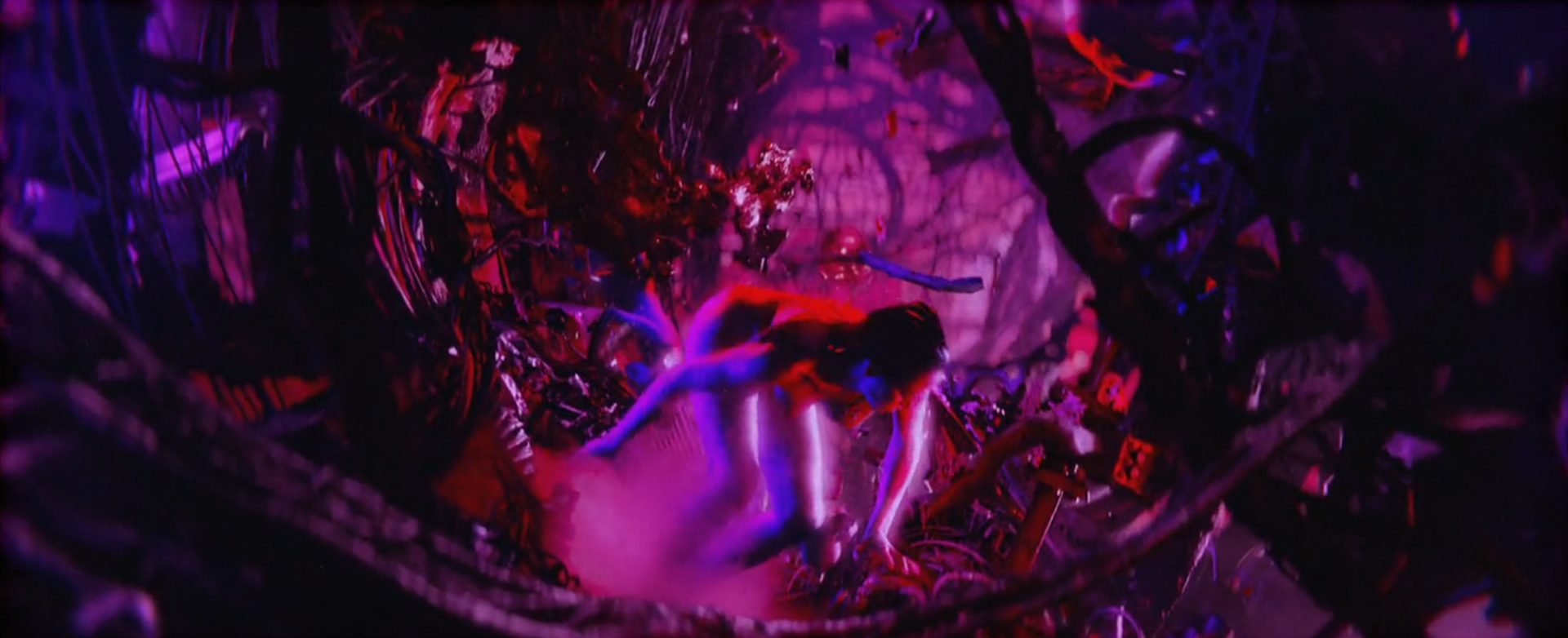 image 06.jpg (558 KB)