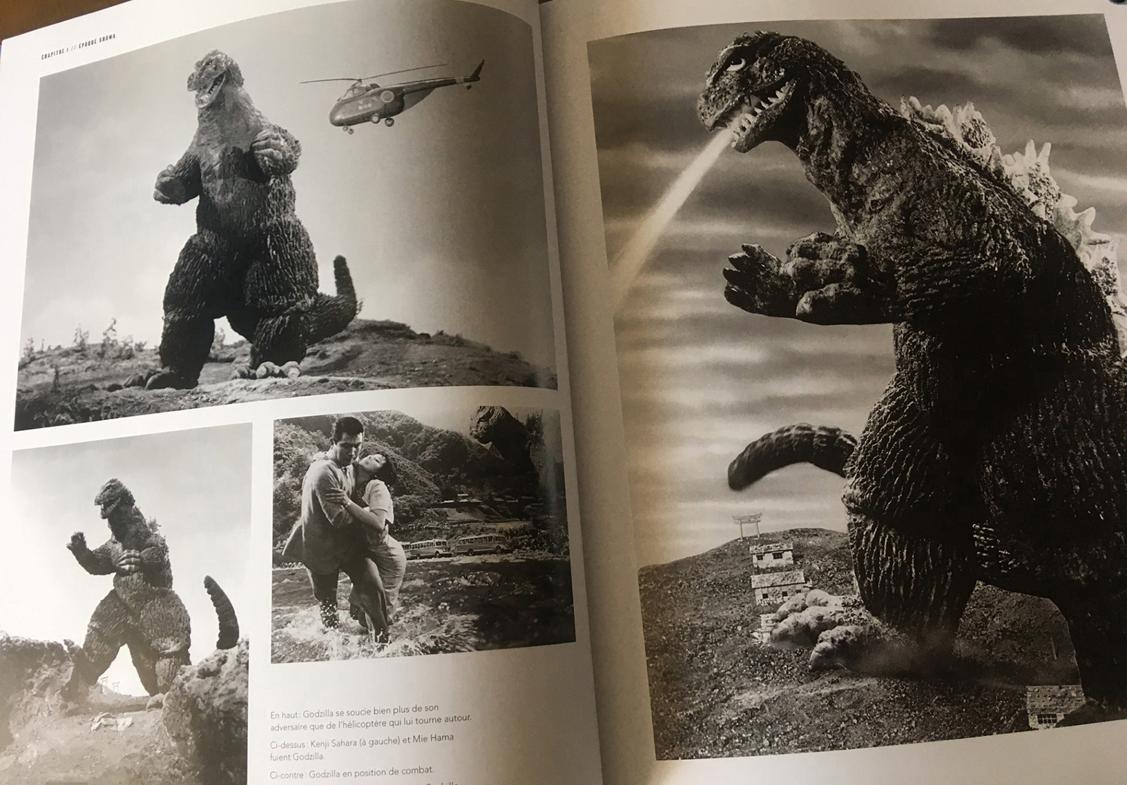 Godzilla1.jpg (1.03 MB)