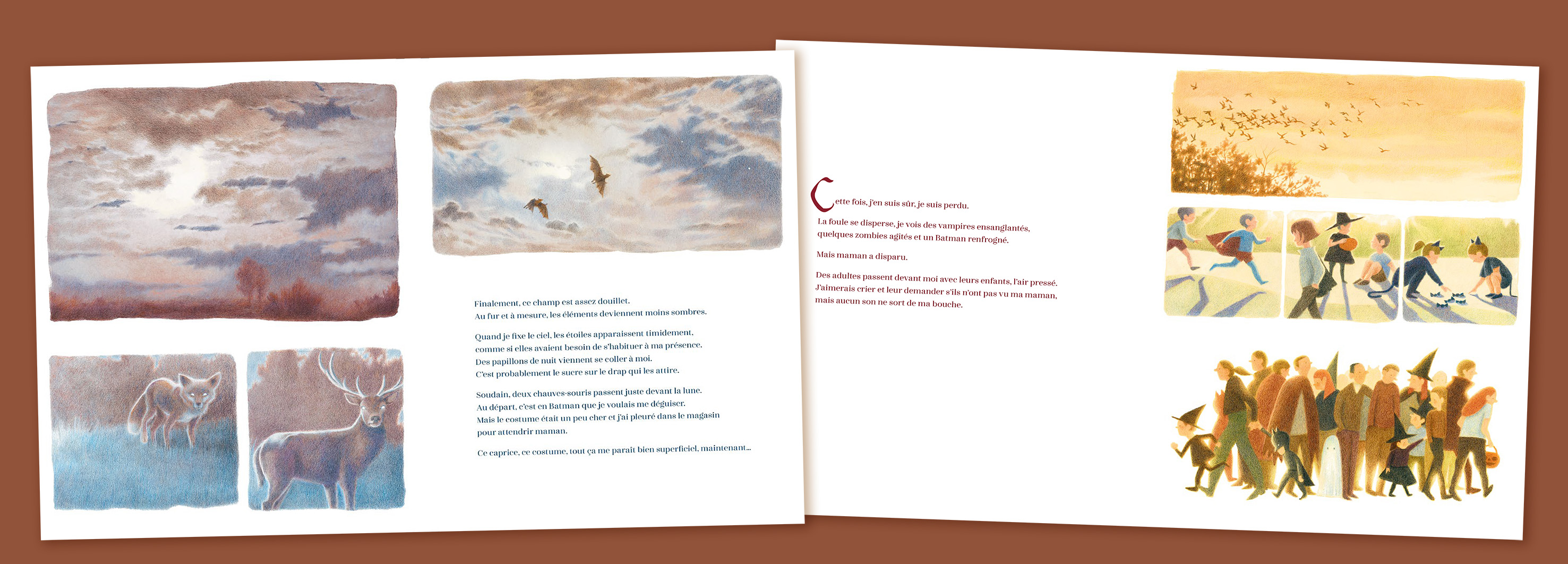 Montage Planches 01.jpg (747 KB)