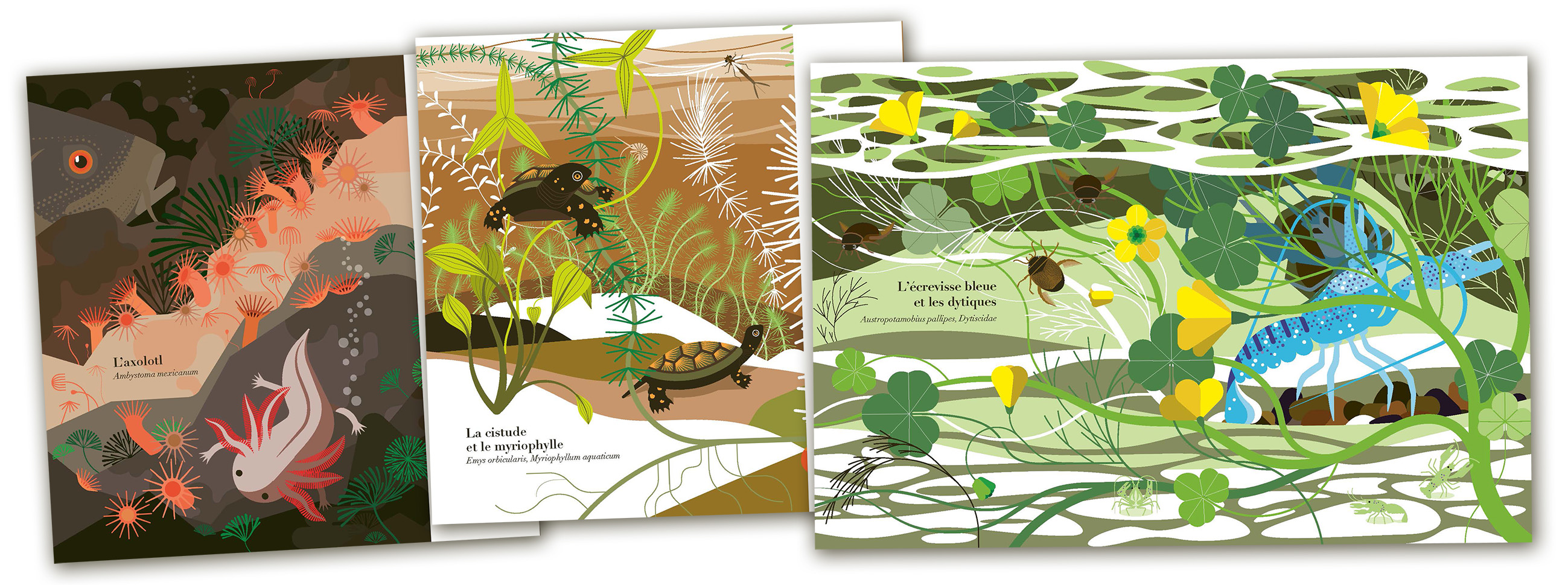 Secret des eaux Montage.jpg (915 KB)