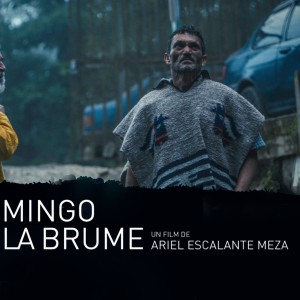 Sortie DVD : 'Domingo et la brume' de Ariel Escalante Meza