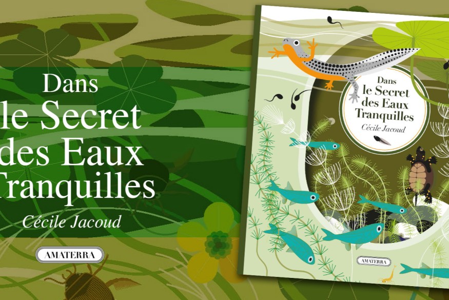 ‘Dans le secret des eaux tranquilles’, un joli livre pop-up’ de Cécile Jacoud, en librairie ce mois-ci… À la découverte d’un milieu enchanteur qui séduira les plus jeunes ! 